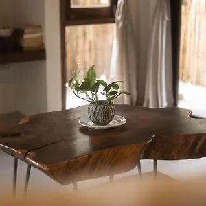 Big Tree Boutique קו טאו